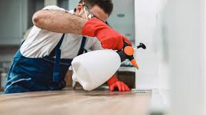 Best Pest Prevention Services  in Cedar Ridge, CA